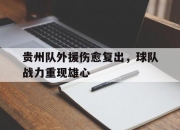 爱游戏ayx平台-贵州队外援伤愈复出，球队战力重现雄心